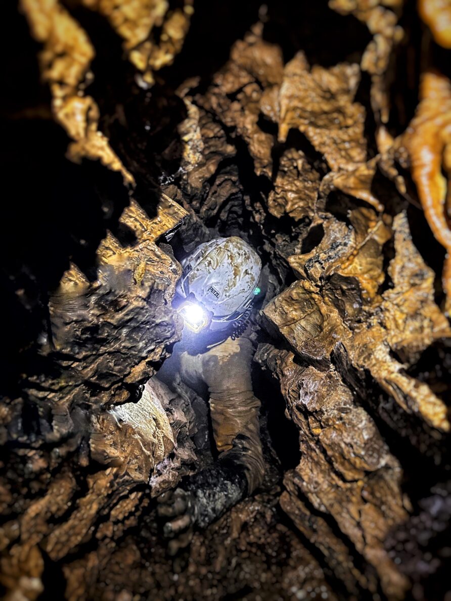 Baumettes décembre 2025