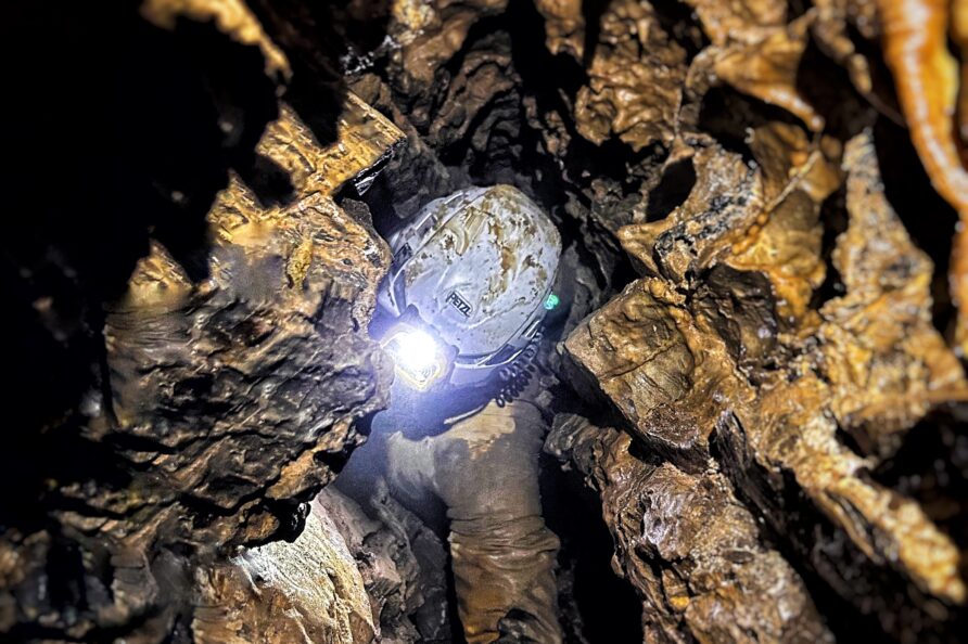 Baumettes décembre 2025